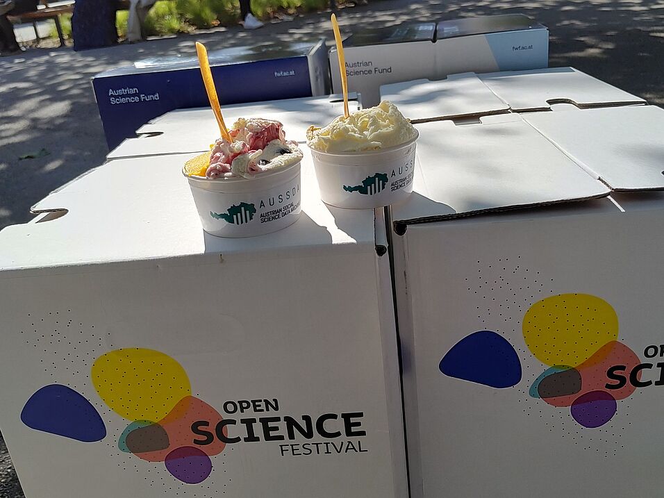 Two ice cream cups bearing the AUSSDA logo stand on two knee-high cardboard cubes, which are placed in front of the entrance to the lecture hall centre on the University of Vienna campus as decorative material for the Open Science Festival.