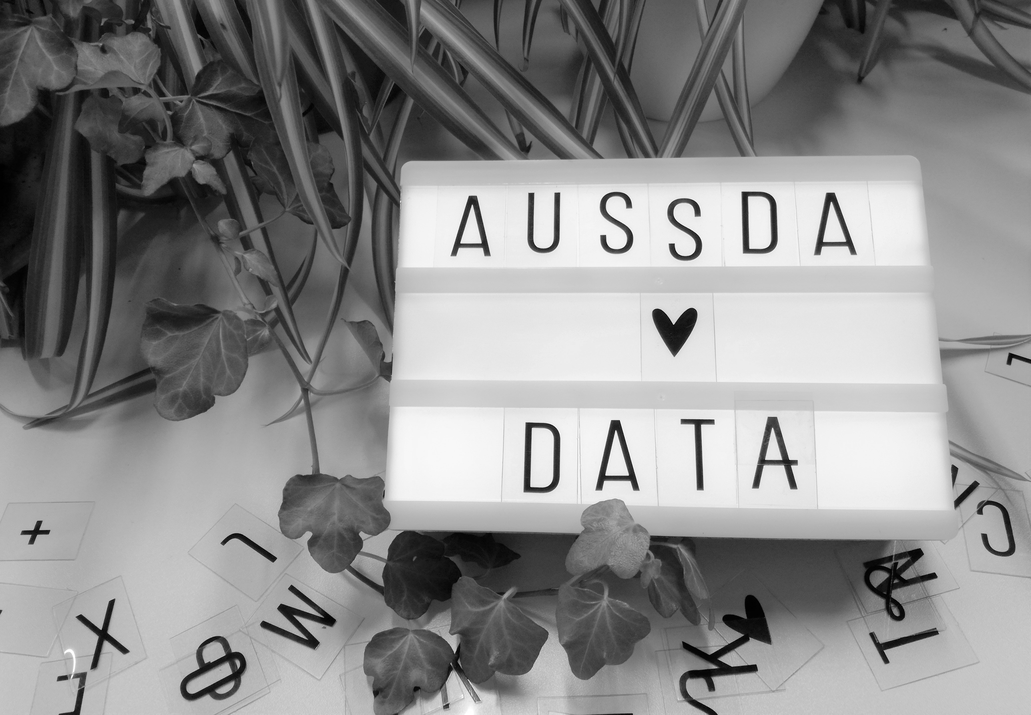 Das Bild zeigt eine Leuchttafel mit der Aufschrift "AUSSDA loves Data".